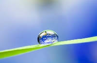 Clima